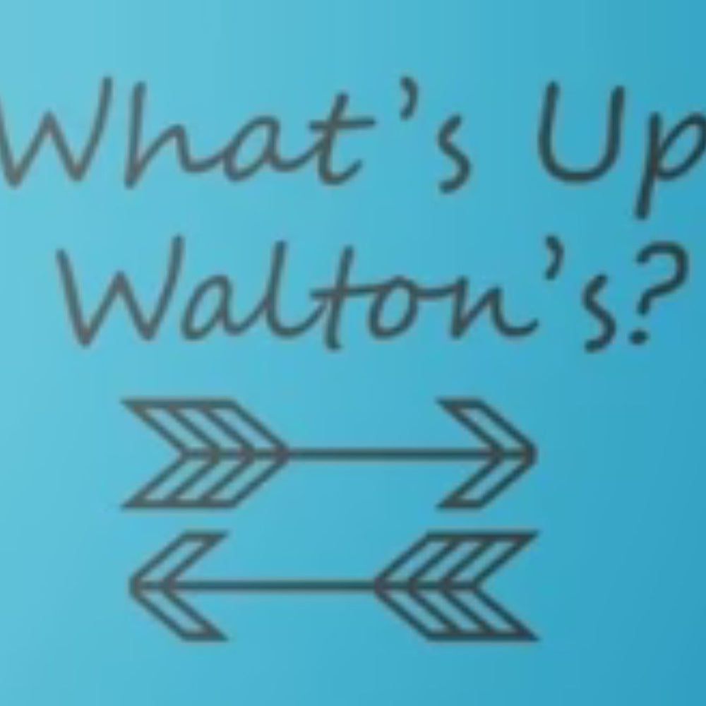 What’s Up Walton's reviews the Sienna for her C-section recovery